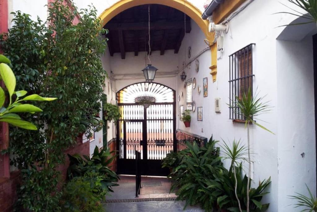 Tipico Y Pintoresco Patio De Vecinos, Con Encanto Sevilla Exterior foto