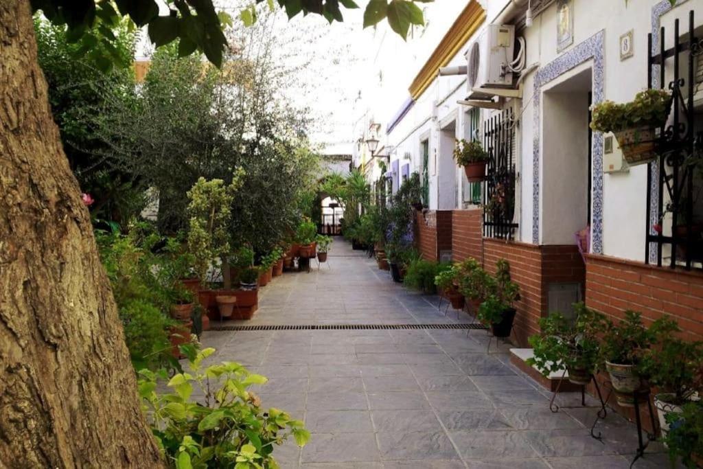 Tipico Y Pintoresco Patio De Vecinos, Con Encanto Sevilla Exterior foto