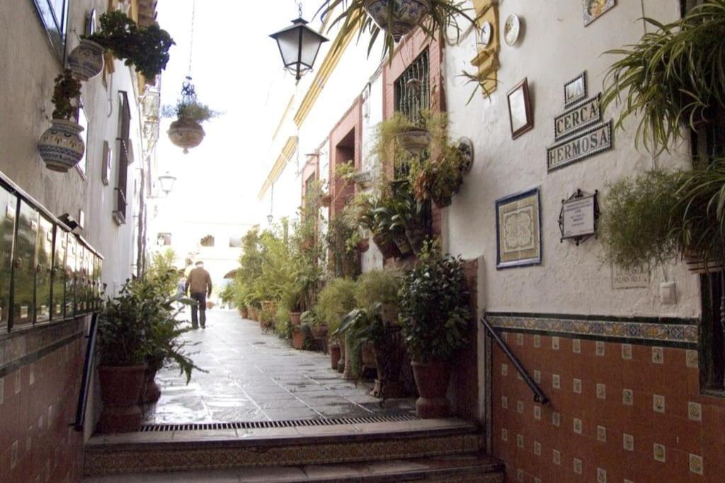 Tipico Y Pintoresco Patio De Vecinos, Con Encanto Sevilla Exterior foto
