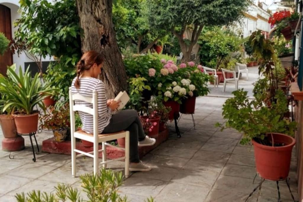 Tipico Y Pintoresco Patio De Vecinos, Con Encanto Sevilla Exterior foto
